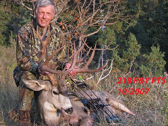 Trophy Mule Deer
