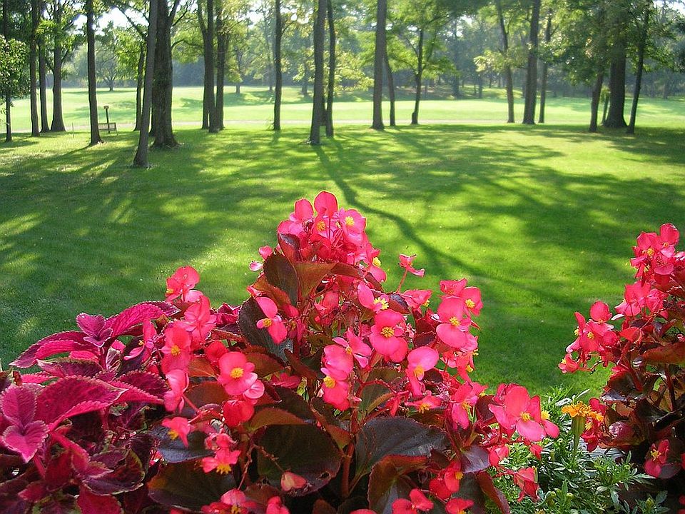 From the deck into the 8th hole