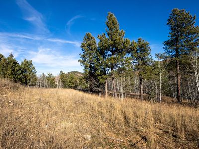 LOT 44 Noble Grand Ct, Sturgis, SD, 57785