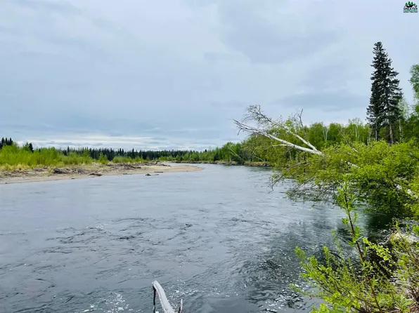 Coho Ave Lot 20, Salcha, AK 99714