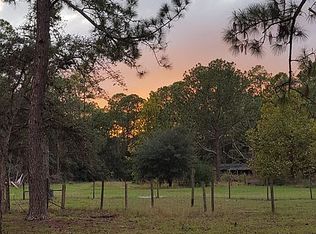 1737 Fern Park Dr, Port Orange, FL 32128