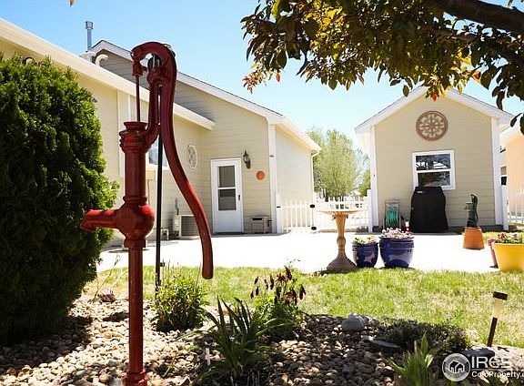 West Patio & Garden Shed