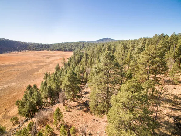 4995 W Braided Rein, Flagstaff, AZ 86005