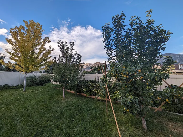 1519 S 620 W — Photo 7