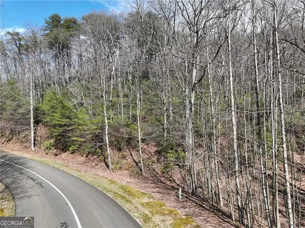 63 Saint Andrews Way, Ellijay, GA 30536