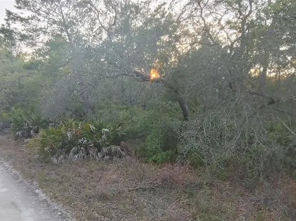 NE 114th Ave Lot 14, Fort Mc Coy, FL 32134