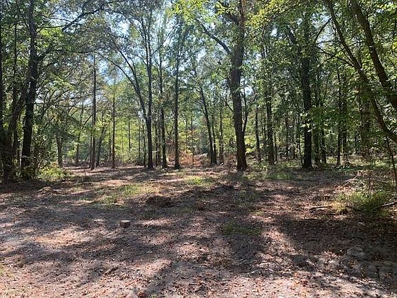 3rd image of Jc Loop