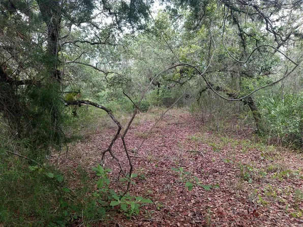 34398 CORNERSTONE DRIVE LOT 8, WEBSTER, FL 33597