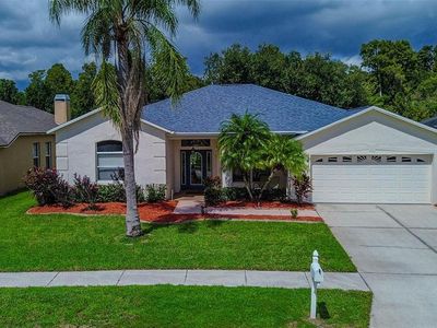 24818 Blazing Trail Way, Land O Lakes, FL, 34639