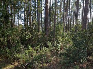 21 Erickson Pl LOT 13, Palm Coast, FL 32164