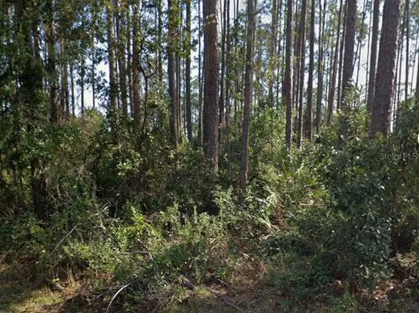 21 ERICKSON PLACE LOT 13, PALM COAST, FL 32164