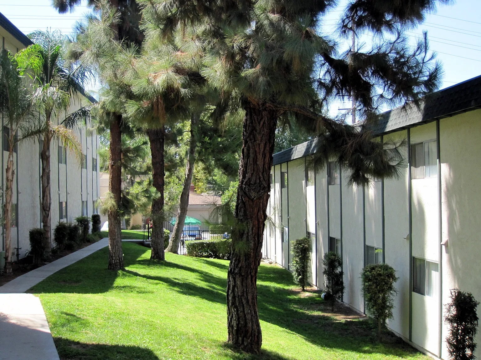 Amber Crest Apartments — Photo 4