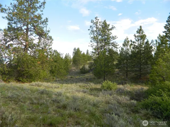 0 TBD Rehmke Road, Tonasket, WA 98855
