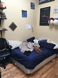 Rented by P Management