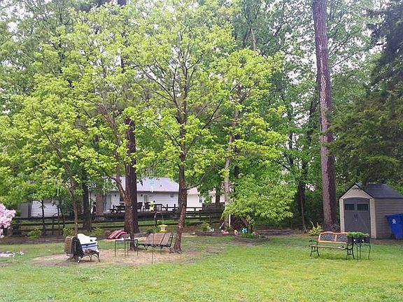 Back yard in spring.