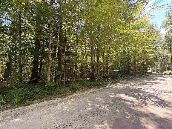 2nd image of 115 Forbes Mountain Road #3