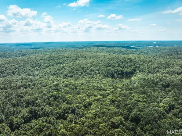 0 Highway B #217, Ellington, MO 63638