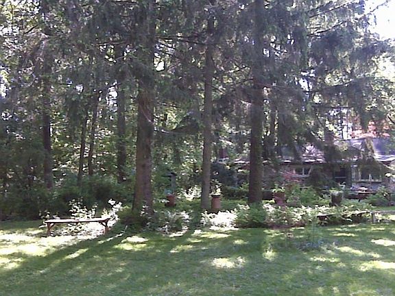Half cleared and half wooded