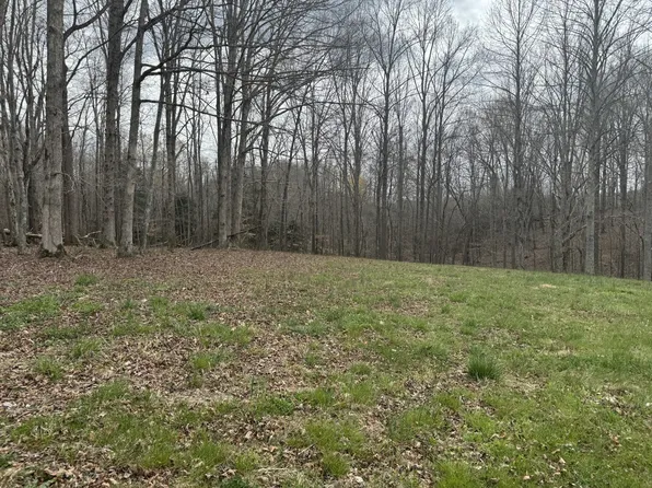 1 Ralph Spivey Ln Lot 1, Gainesboro, TN 38562