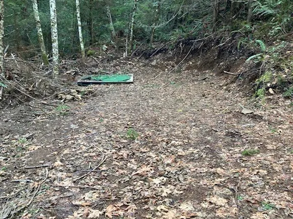 0 N Dow Ridge, Hoodsport, WA 98548