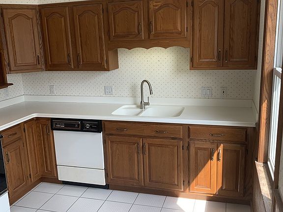 Kitchen Sink and Dishwasher