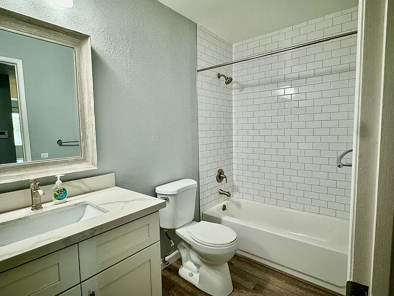 Hall bathroom