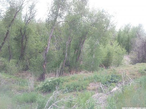 2nd image of 945 E Burch Creek Holw