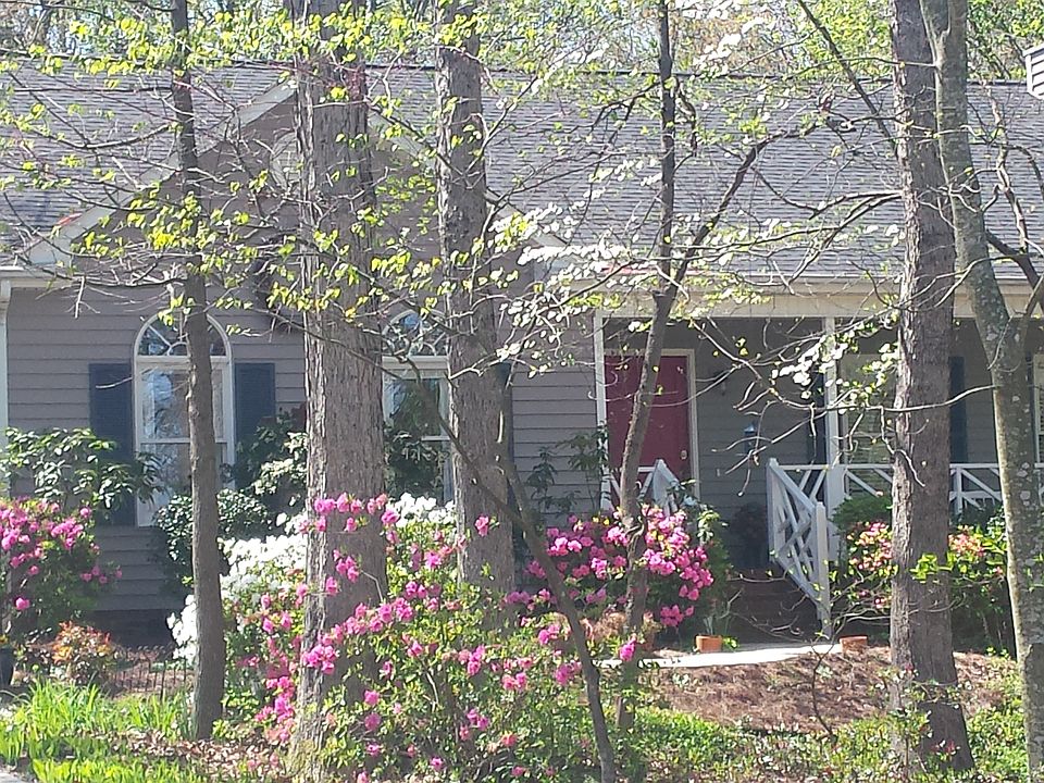 Dogwoods on every side