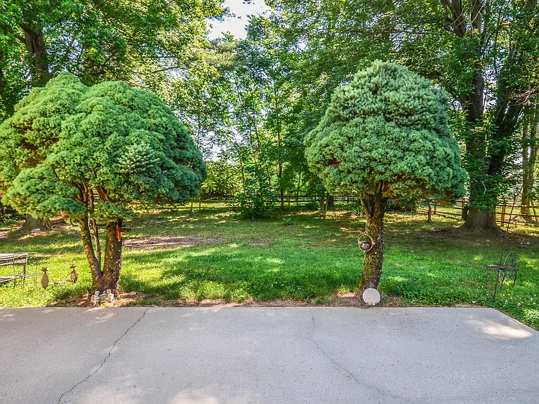 11309 Brandy Hall Ln — Photo 46