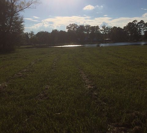 3rd image of LA Hwy 190 Lot 1-B-1