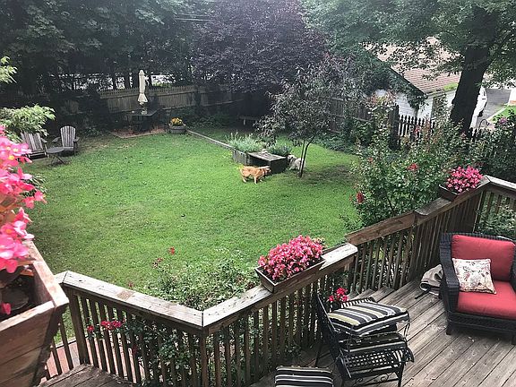 Backyard. From upper deck