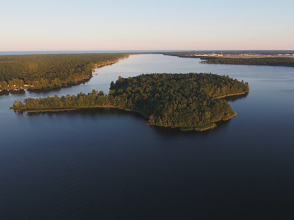 Loud Island