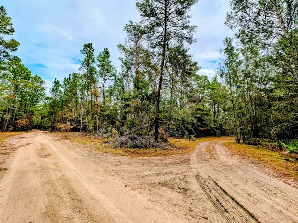Rosewood Rd, Florahome, FL 32140