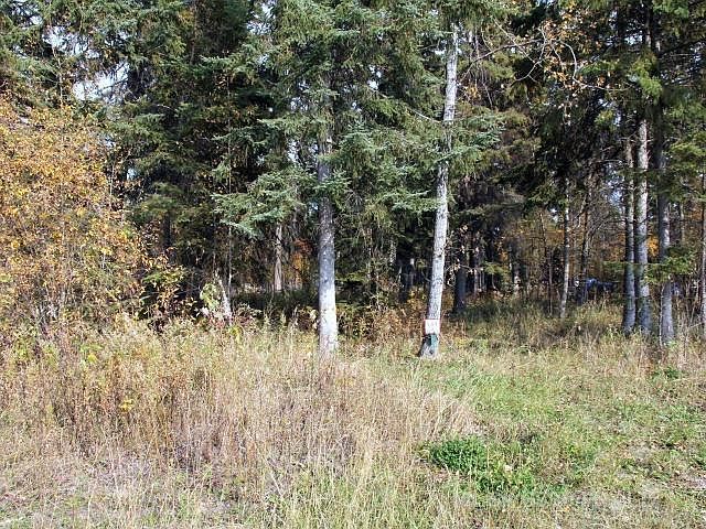 2nd image of LOT 7 Willow Bay