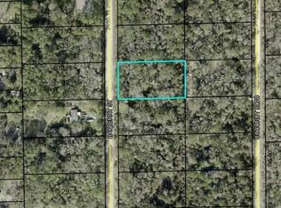 1817 Bayberry St LOT 6, Bunnell, FL 32110