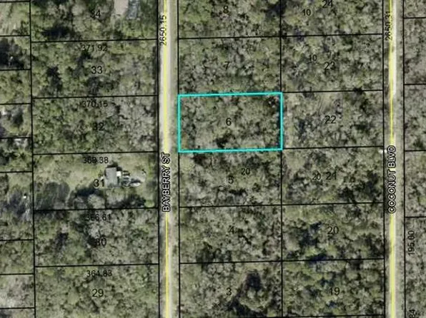 1817 Bayberry St Lot 6, Bunnell, FL 32110