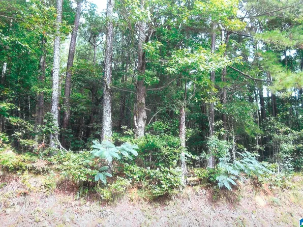 0 Dry Creek Rd, Pell City, AL 35128