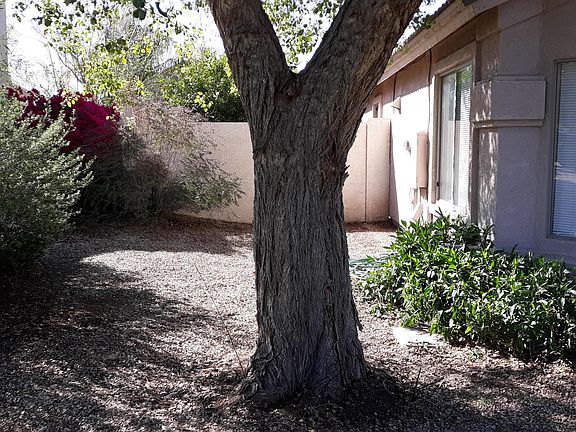 5th image of 8637 E Milagro Ave