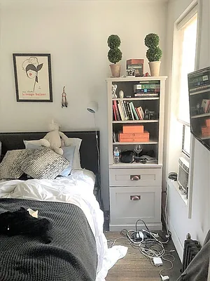 Rented by Dynamik Realty | media 19