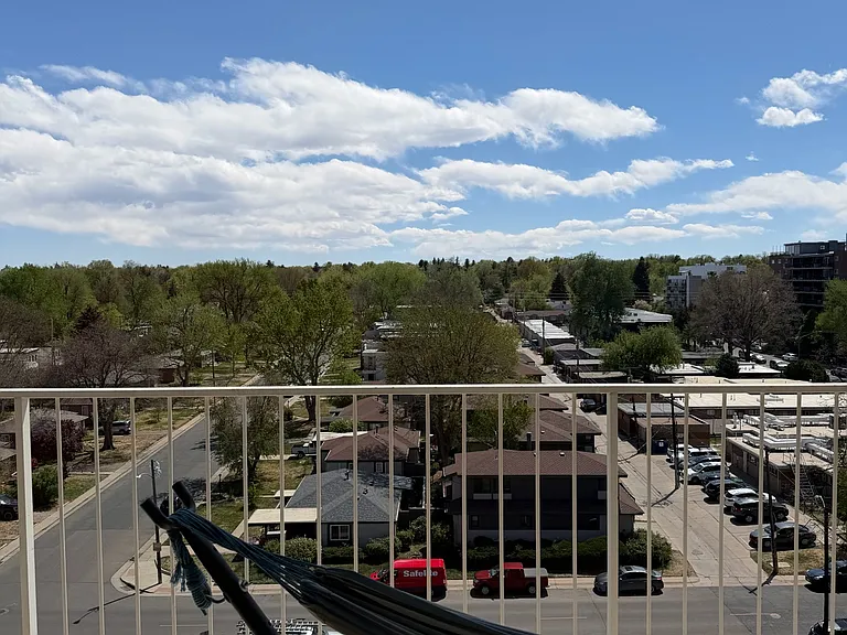 955 Eudora St #802E — Photo 11
