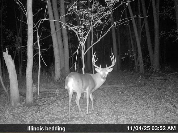 3rd image of 550 Stiner Ave