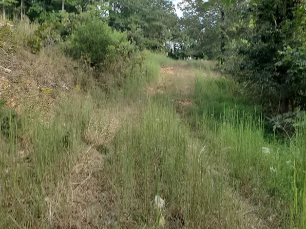 TRACT 19 Mountain Cv, Mountain View, AR 72560