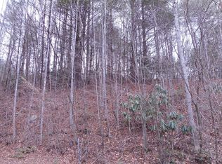 0 Anthony Branch Rd, Robbinsville, NC 28771