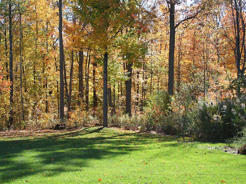 Lovely fall day