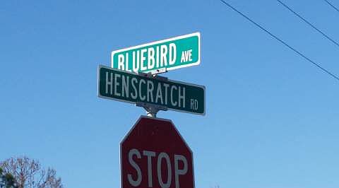 4th image of 3352 Bluebird Ave