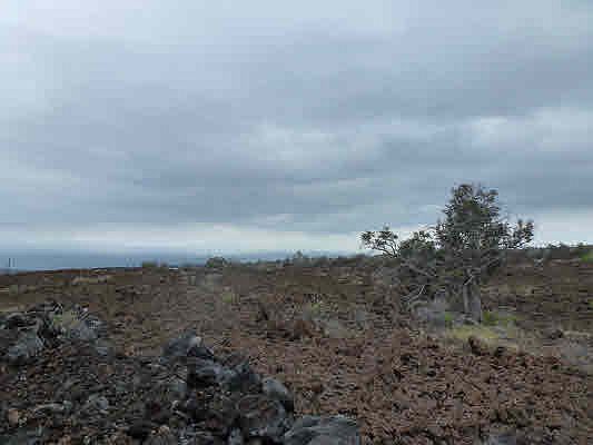 5th image of Kohala Blvd Lot 14