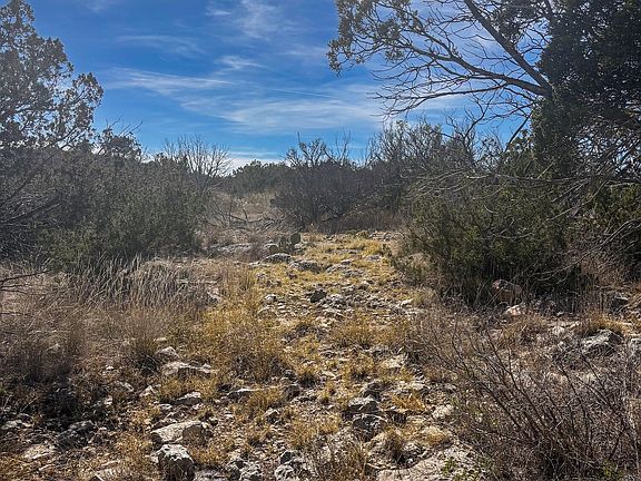 4th image of TRACT 11 Eastwood Rd