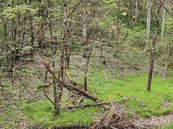 8 Hidden Hollow Way Lot 8, Sevierville, TN 37862