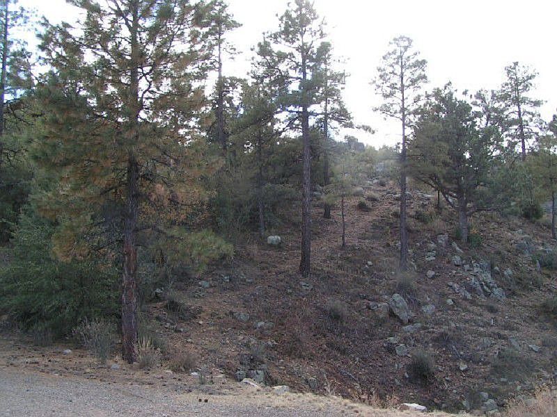 1st image of 821 Mavrick Mountain Trl
