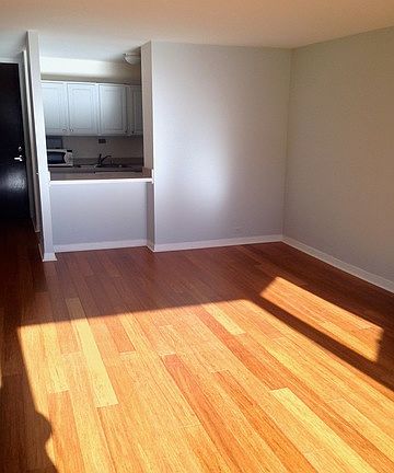 5th image of 535 N Michigan Ave APT 3005